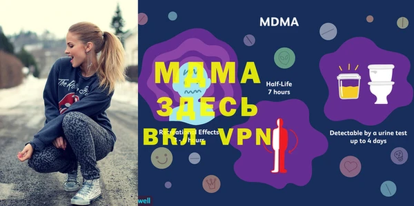 мдпв Ельня