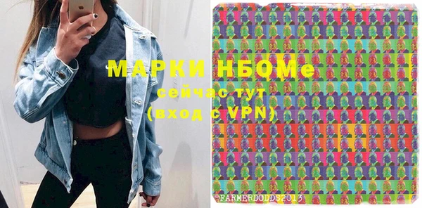 мдпв Ельня