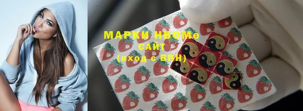 мдпв Ельня