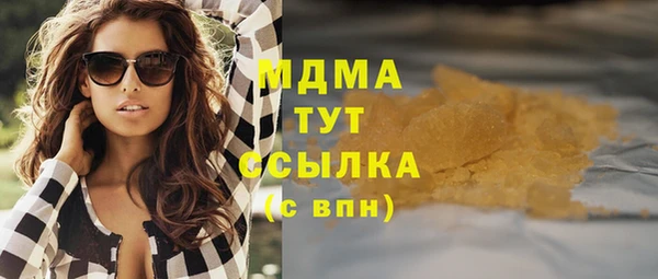 мдпв Ельня