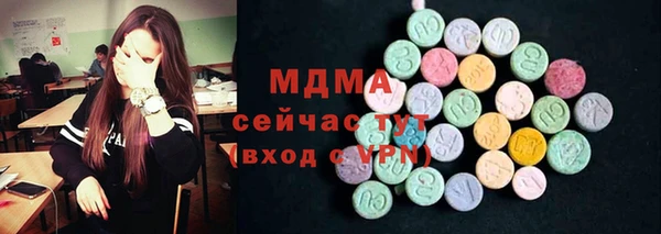 мдпв Ельня
