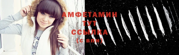 мдпв Ельня