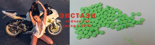 мдпв Ельня