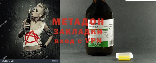 мдпв Ельня