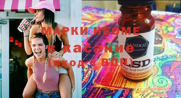 мдпв Ельня