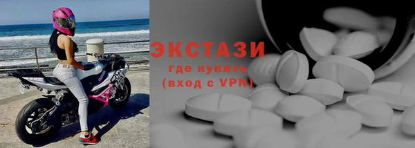 мдпв Ельня