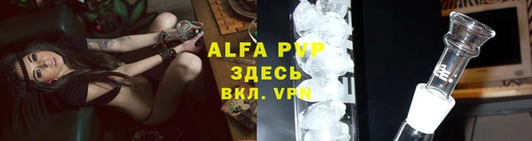 мдпв Ельня