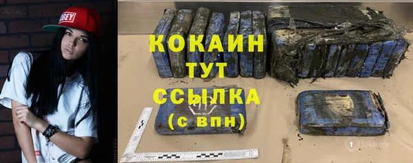 мдпв Ельня