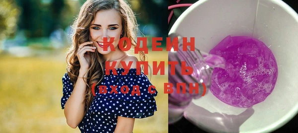 мдпв Ельня
