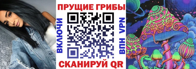Галлюциногенные грибы Cubensis  Купить  Томари 