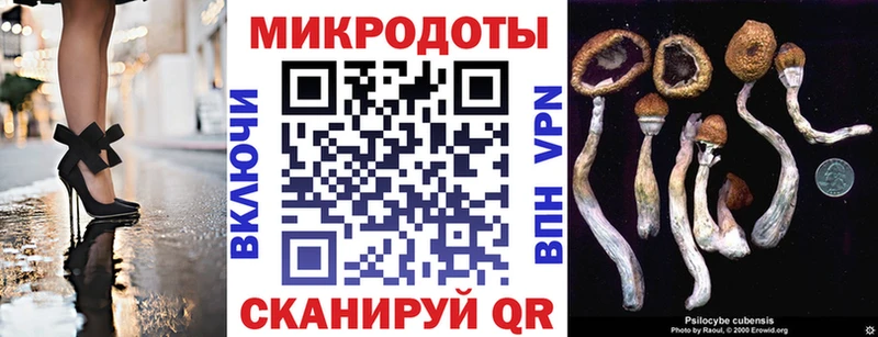 Псилоцибиновые грибы MAGIC MUSHROOMS Томари